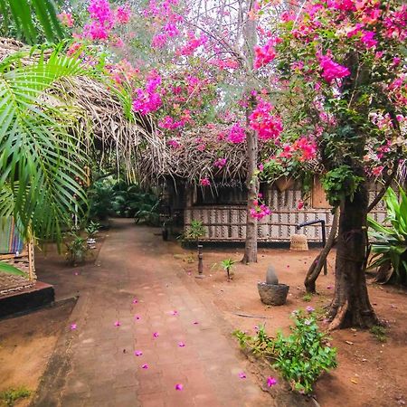 The Palm Trees Resort Патнэм Экстерьер фото