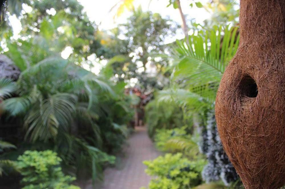 The Palm Trees Resort Патнэм Экстерьер фото