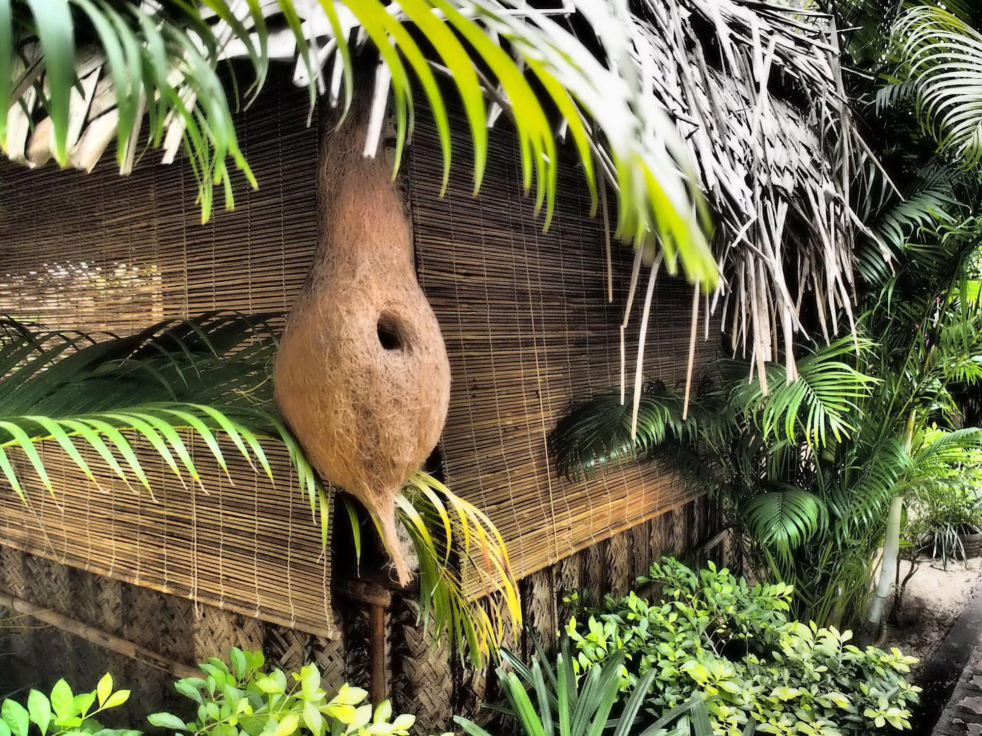 The Palm Trees Resort Патнэм Экстерьер фото