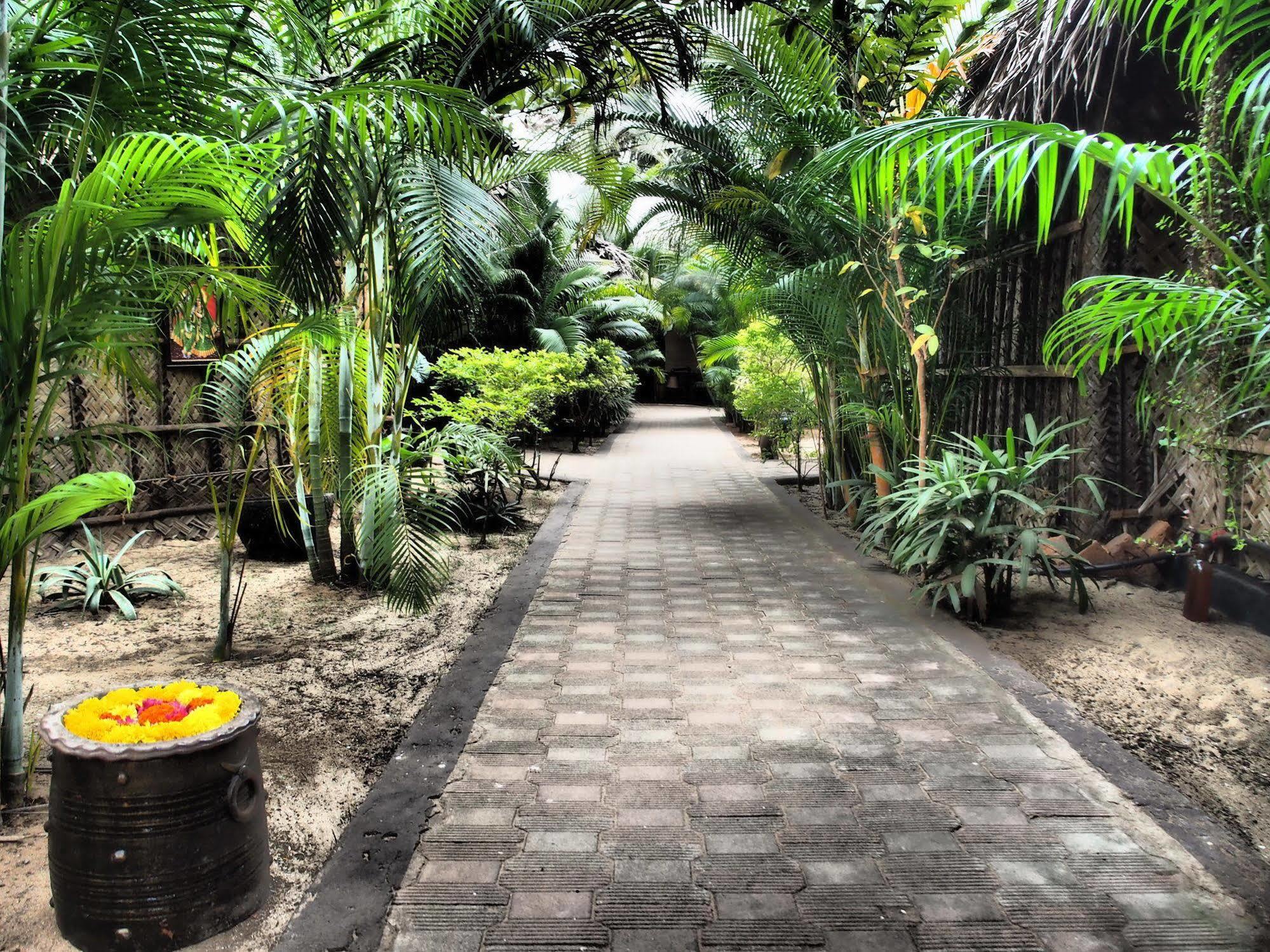 The Palm Trees Resort Патнэм Экстерьер фото